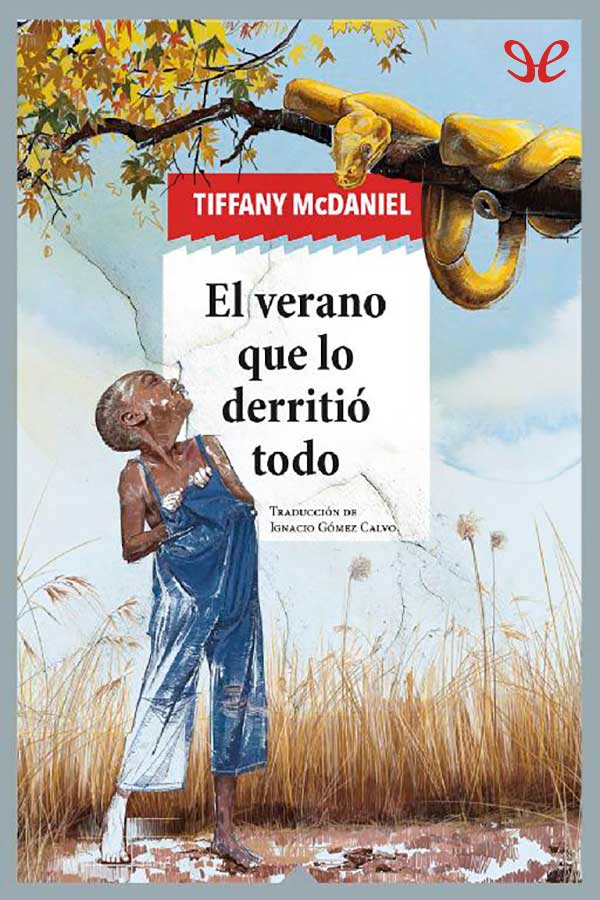 descargar libro El verano que lo derritió todo