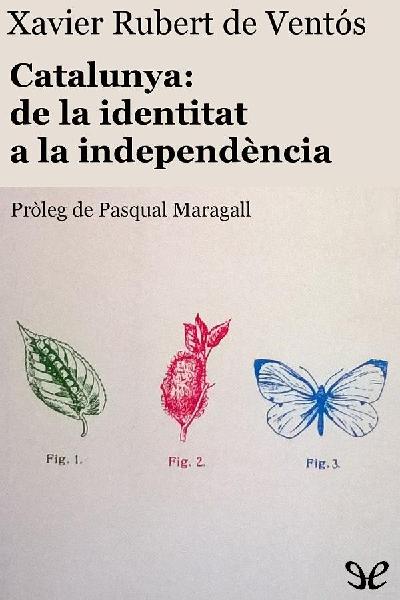 descargar libro Catalunya: de la identitat a la independència