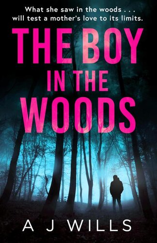 descargar libro The Boy in the Woods