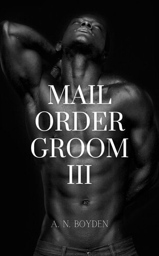 descargar libro Mail Order Groom III