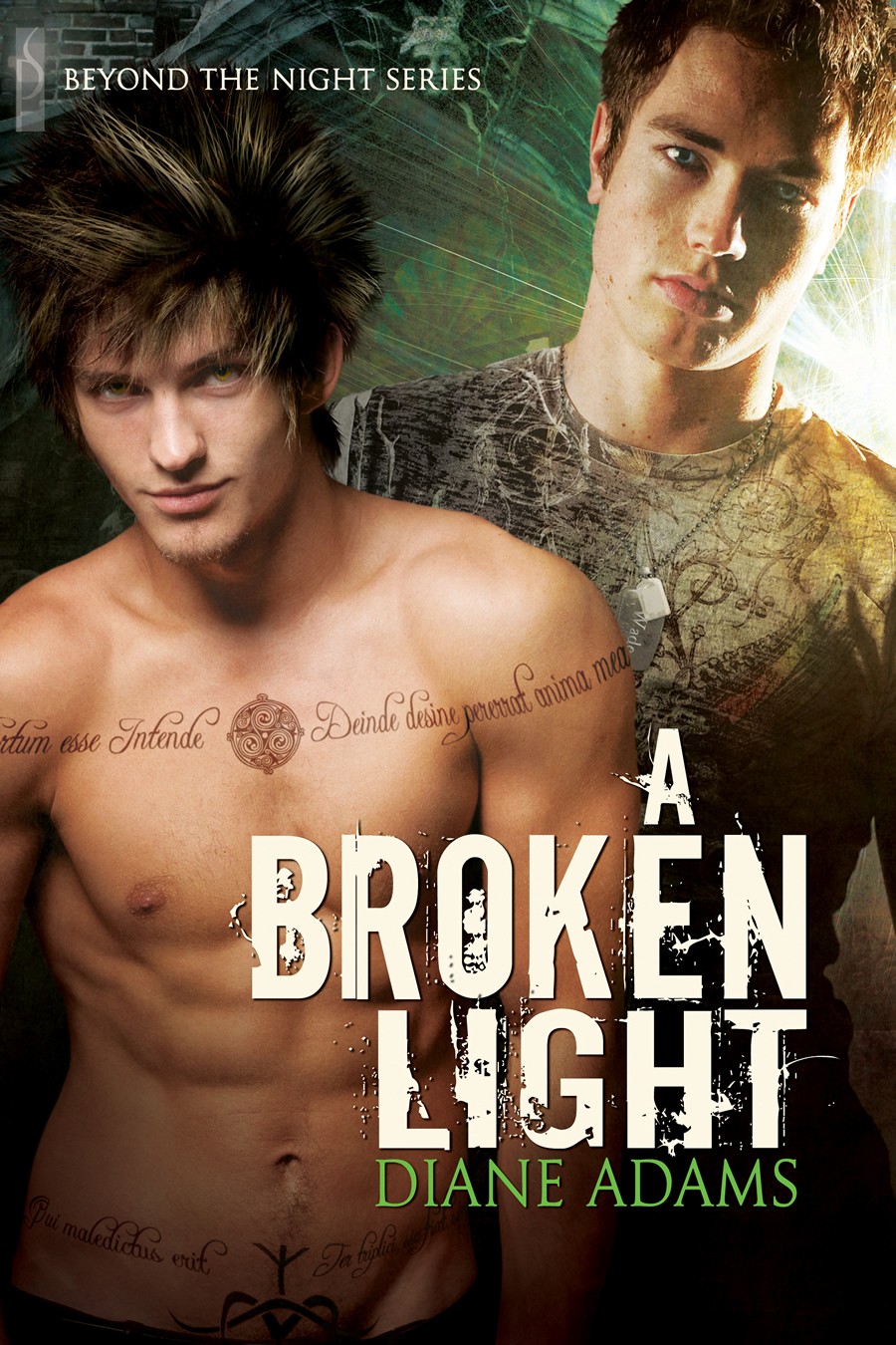 descargar libro A Broken Light