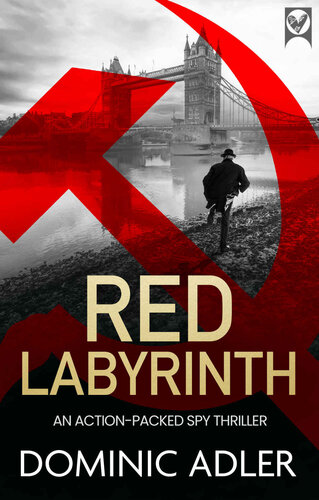 descargar libro RED LABYRINTH a gripping action-packed spy thriller with a shocking twist