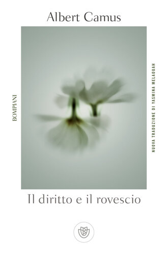 libro gratis Il diritto e il rovescio