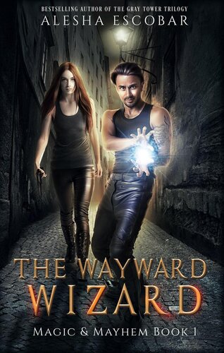 libro gratis The Wayward Wizard