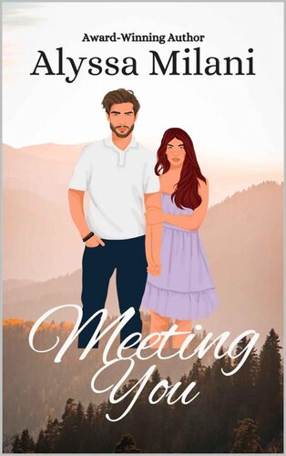 descargar libro Meeting You