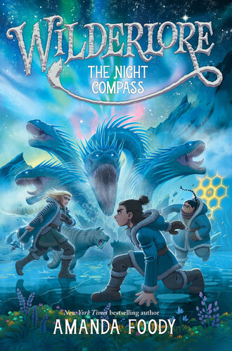 libro gratis The Night Compass