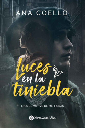 descargar libro Luces en la tiniebla