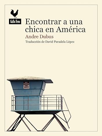 descargar libro Encontrar a una chica en América