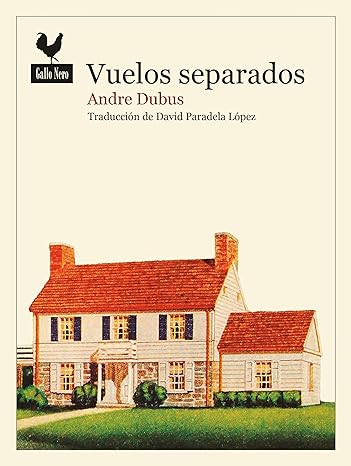 descargar libro Vuelos separados