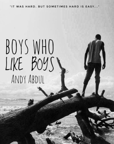 descargar libro BOYS WHO LIKE BOYS