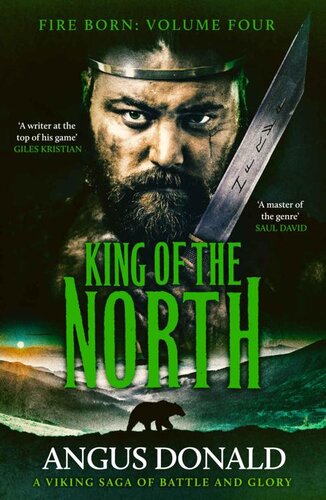 descargar libro King of the North: A Viking saga of battle and glory (Fire Born Book 4)