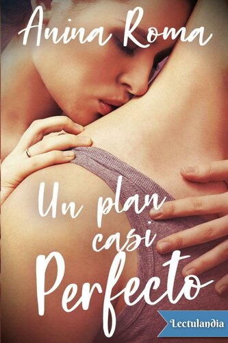 descargar libro Un plan casi perfecto