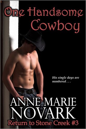 descargar libro One Handsome Cowboy