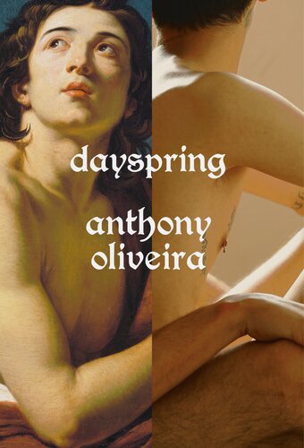 descargar libro Dayspring