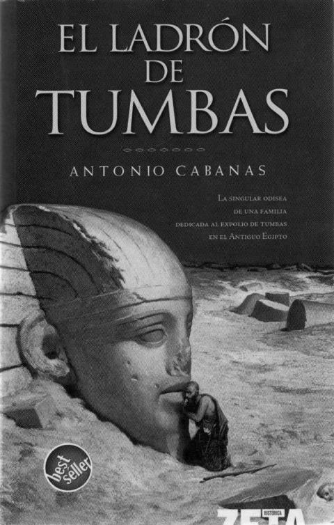 descargar libro El ladron de tumbas