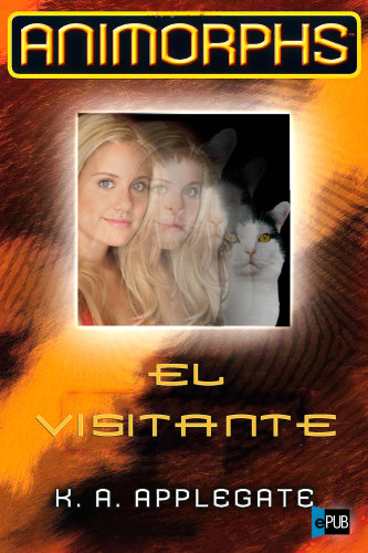 descargar libro El Visitante