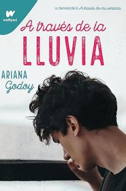 descargar libro A través de la lluvia (Hermanos Hidalgo 3)