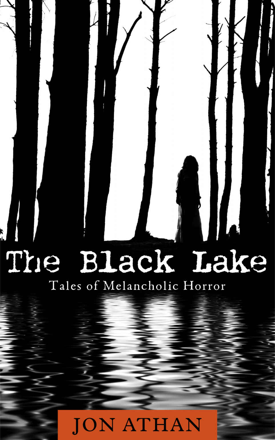 descargar libro The Black Lake: Tales of Melancholic Horror