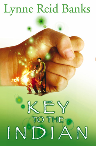 descargar libro The Key to the Indian