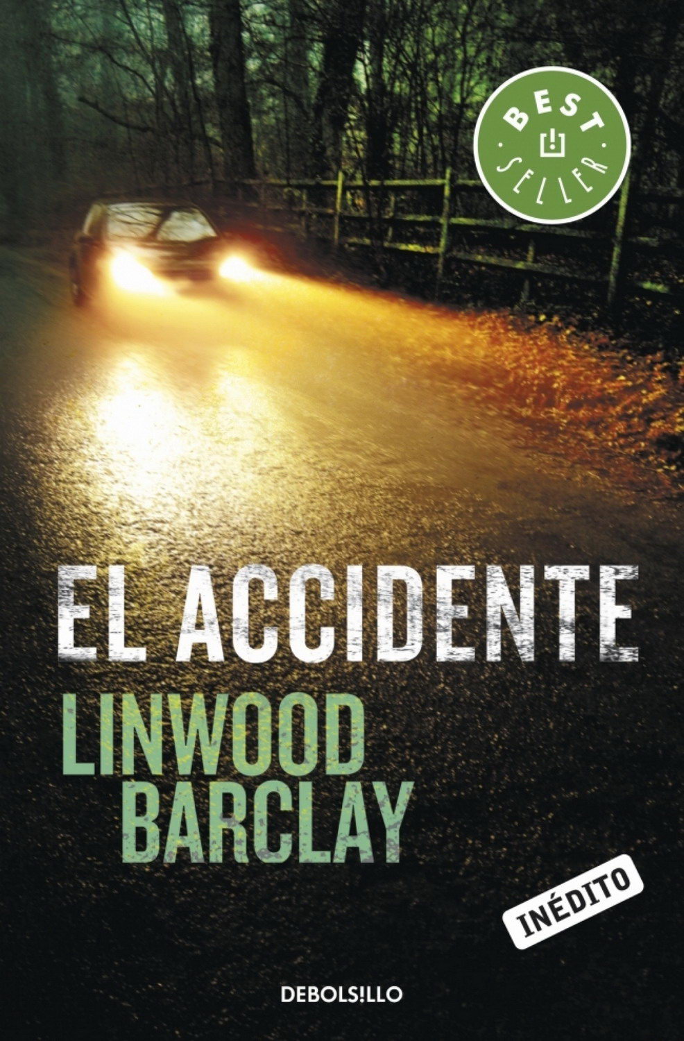 descargar libro El accidente