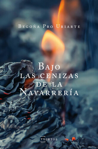 libro gratis Bajo las cenizas de la Navarrería (Narrativa) (Spanish Edition)