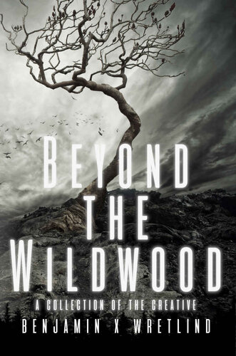 descargar libro Beyond the Wildwood: A Collection of the Creative