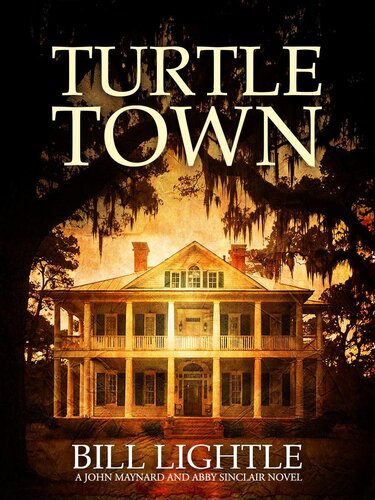 descargar libro Turtle Town