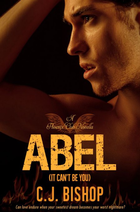 descargar libro Abel: It Can't Be You