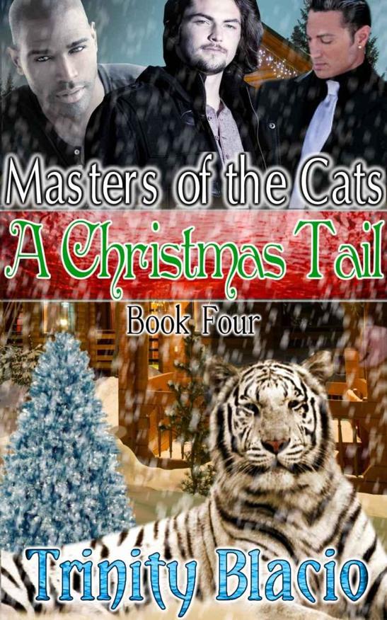 libro gratis A Christmas Tail