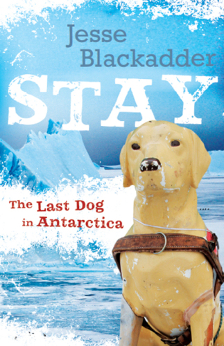 libro gratis Stay: The Last Dog in Antarctica