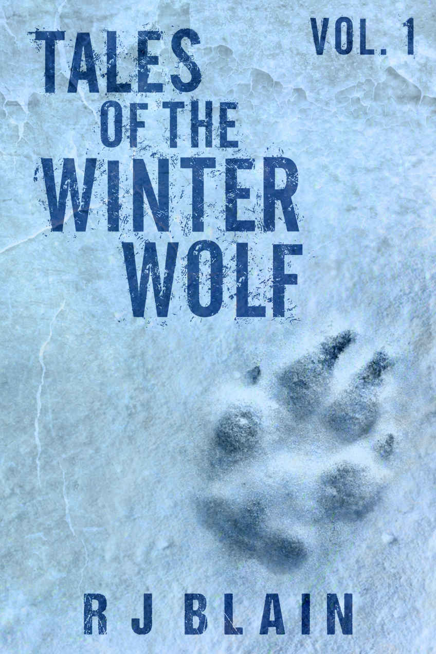 descargar libro Witch & Wolf 2,1; Tales of the Winter Wolf 1