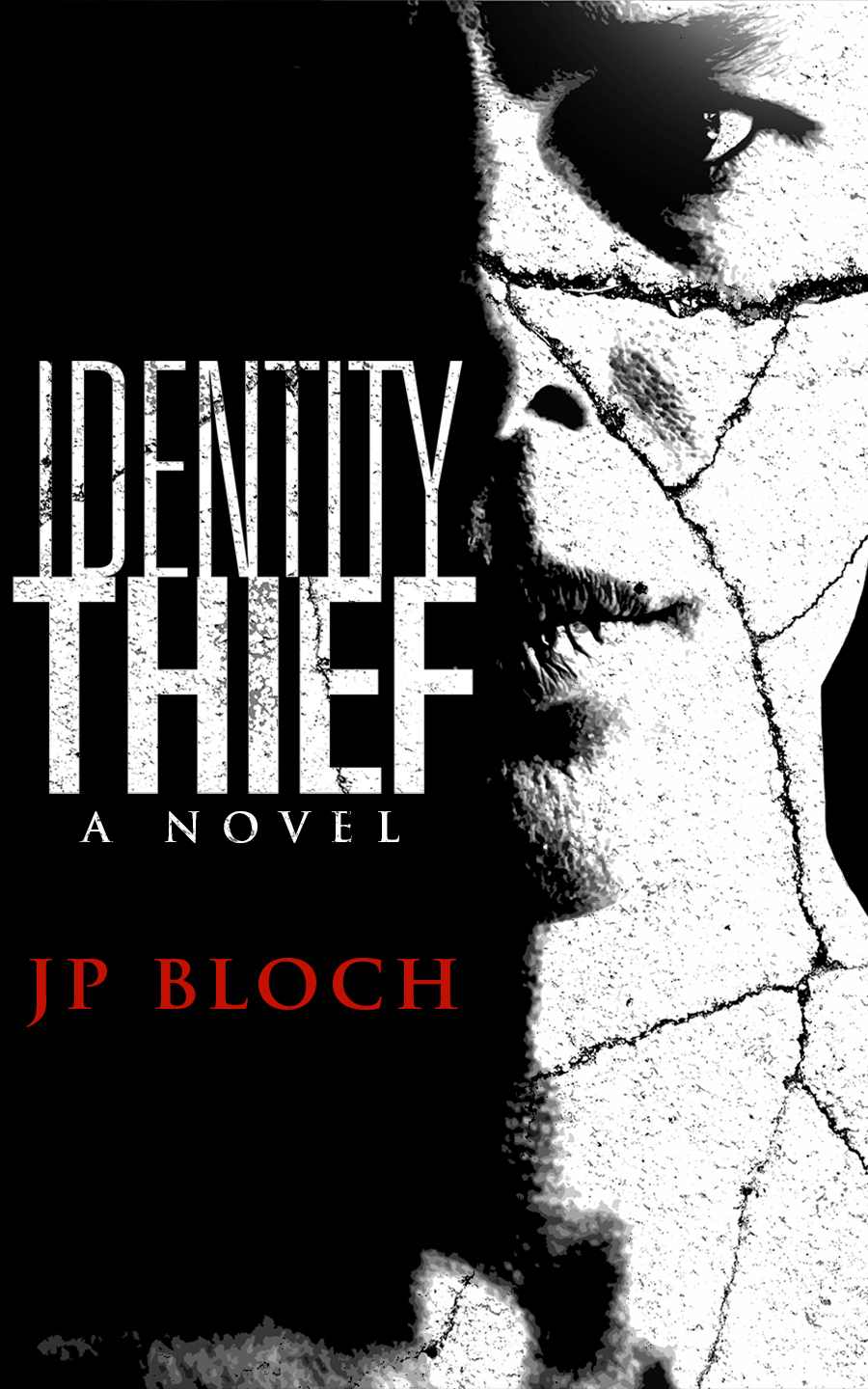 descargar libro Identity Thief