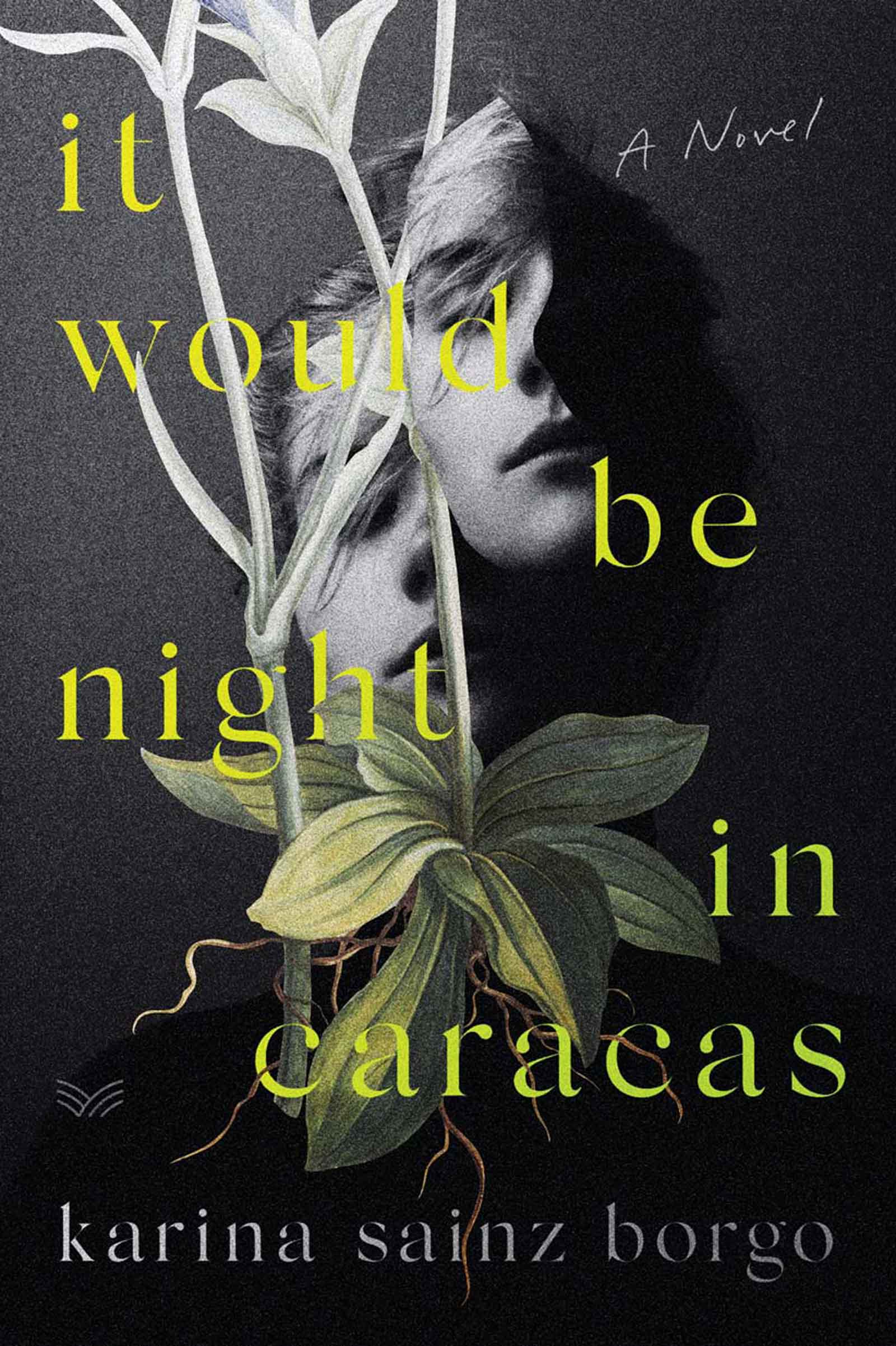 descargar libro It Would Be Night in Caracas