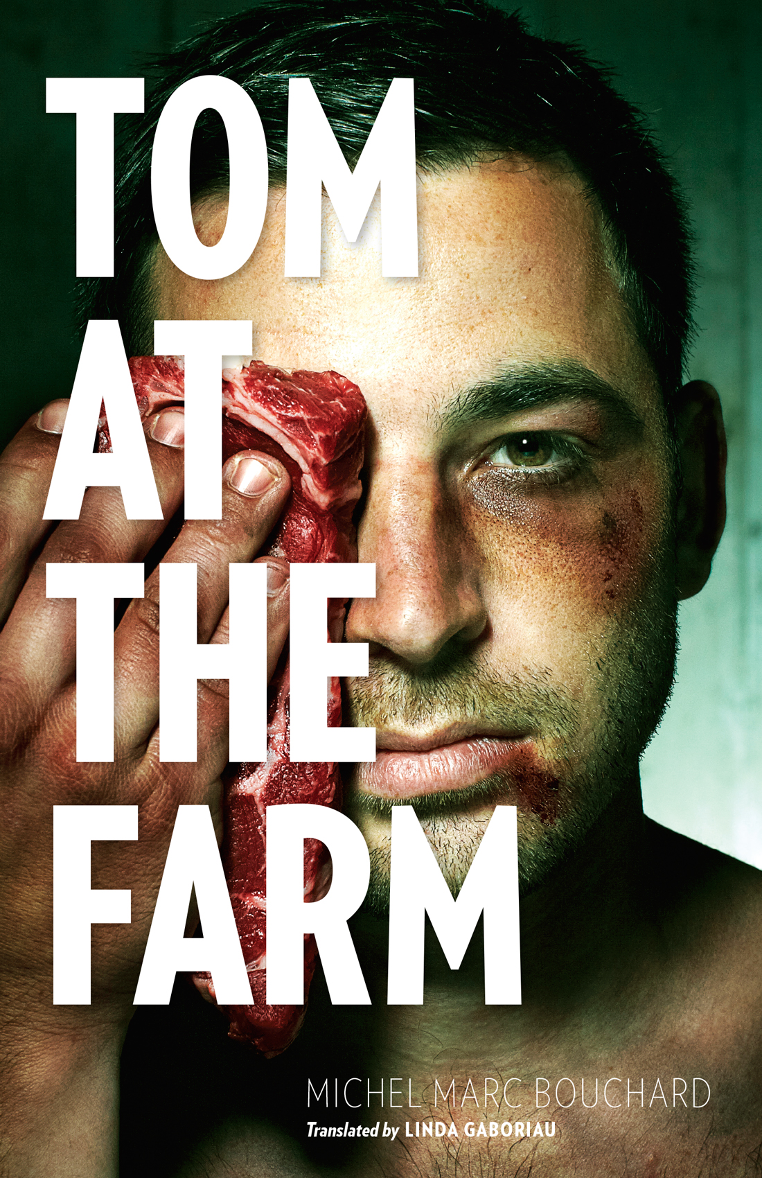 descargar libro Tom at the Farm