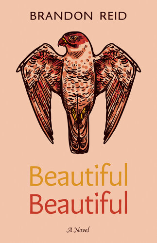 descargar libro Beautiful Beautiful