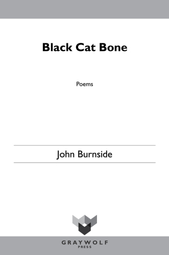 descargar libro Black Cat Bone