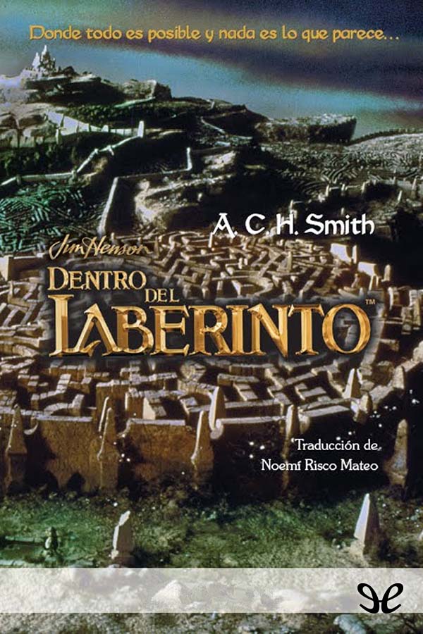 descargar libro Dentro del laberinto