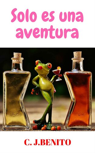 libro gratis Solo es una aventura (Spanish Edition)