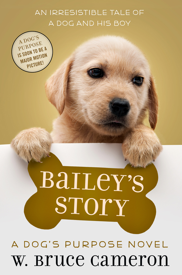 descargar libro Bailey's Story