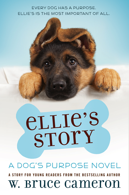 descargar libro Ellie's Story