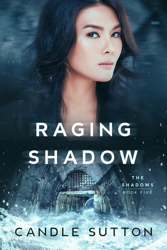 descargar libro Raging Shadow