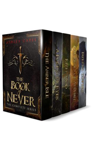 libro gratis The of Never 1-5