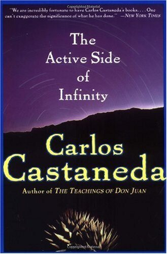 descargar libro The Active Side of Infinity