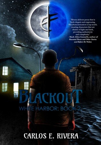 descargar libro Blackout