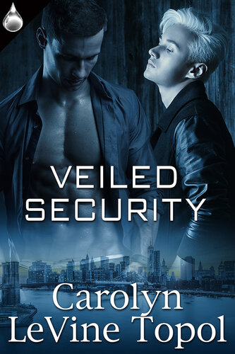 descargar libro Veiled Security