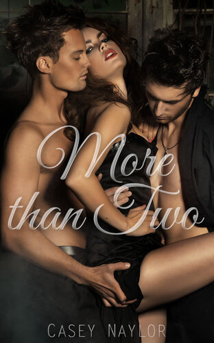 libro gratis More than Two: An MMF/MMMF Collection