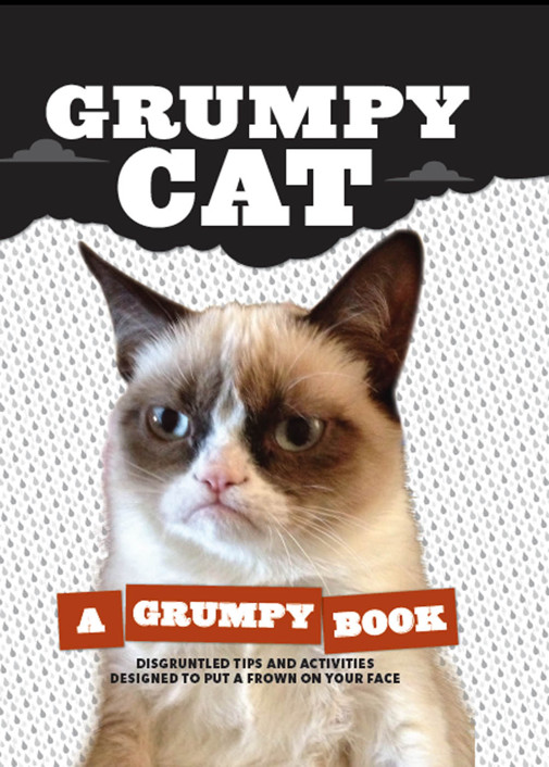 descargar libro A Grumpy Book: Disgruntled Tips and Activities Designed to Put a Frown on your Face