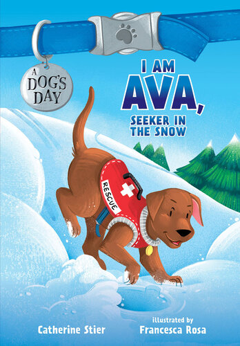 descargar libro I Am Ava, Seeker in the Snow