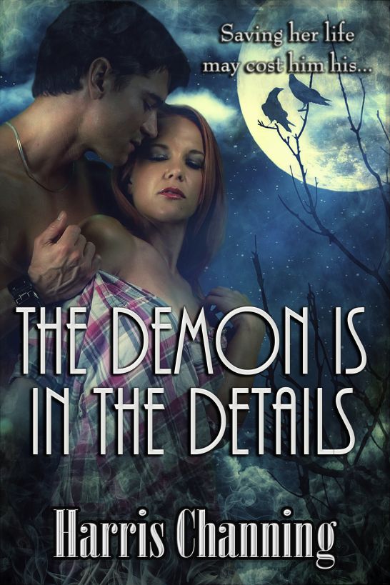 descargar libro The demon is in the details