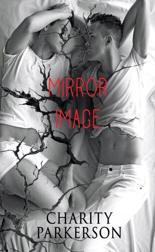 descargar libro Mirror Image